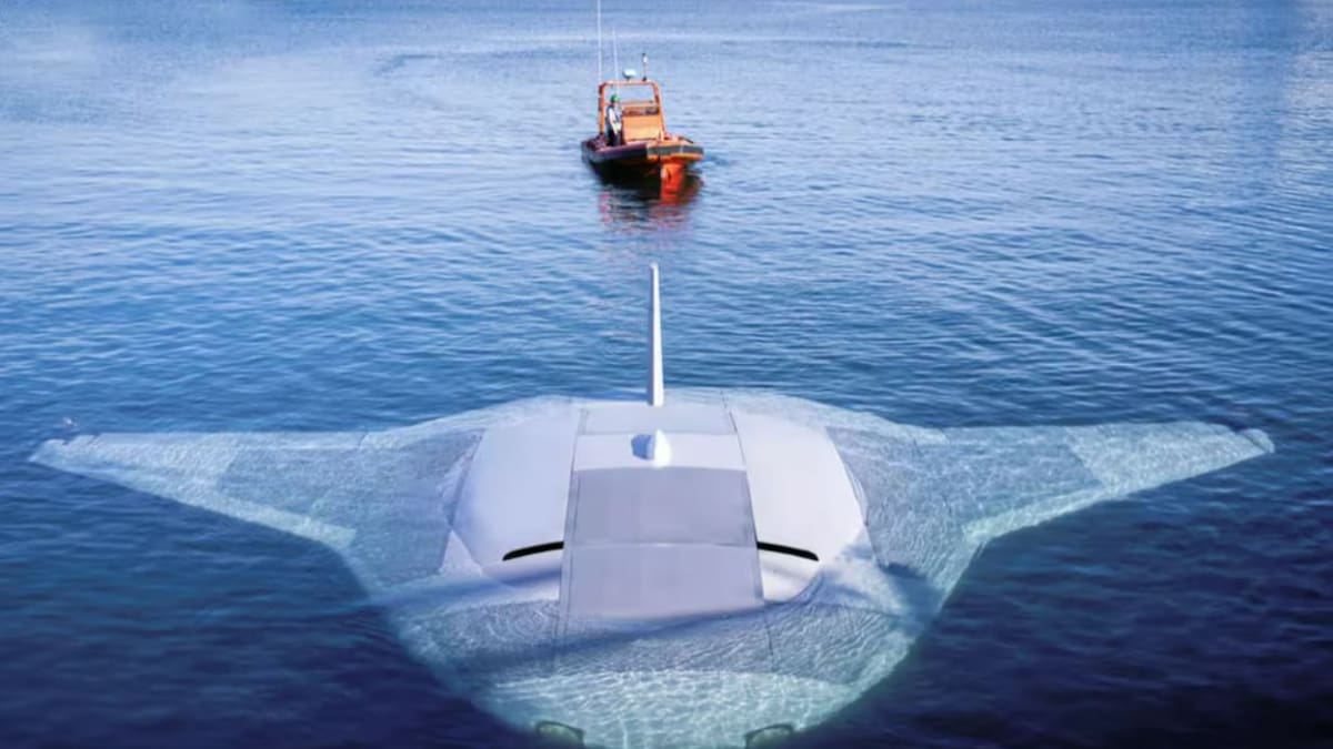 Así es Manta Ray, el vehículo no tripulado inspirado en mantarrayas que diseñó EEUU para misiones submarinas