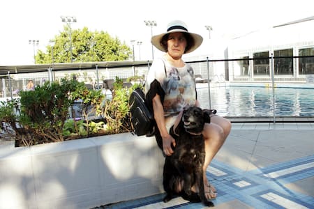 Hoteles 5 estrellas para perros: la experiencia Sheraton. Foto: Aldana Córdoba Daniele: