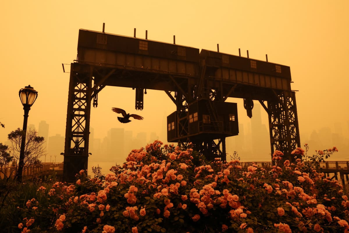 Incendios en Nueva York. Foto: Reuters