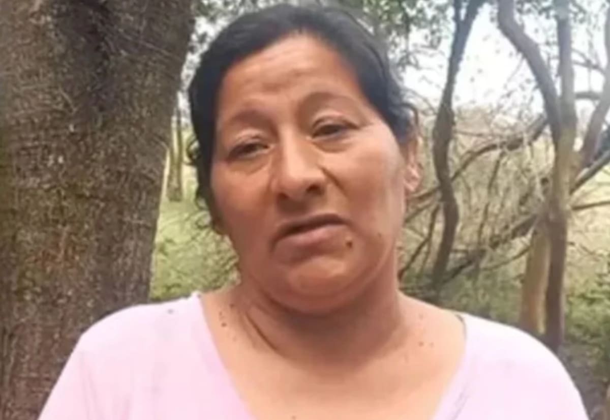 Declaró Laudelina Peña, imputada por la desaparición de su sobrino Loan.