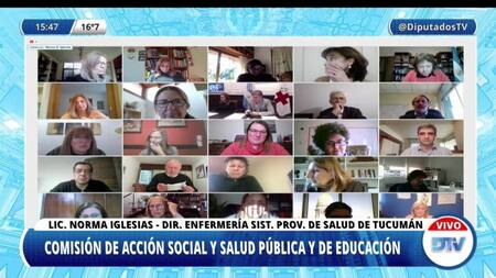 Diputados: especialistas expusieron sobre la iniciativa que jerarquiza la enfermería