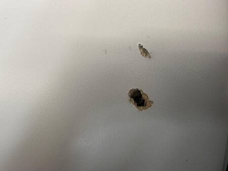 El vuelo de Spirit Airlines fue atacado a tiros. Foto: X @_01Katarina