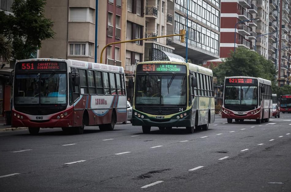 Colectivos en Mar del Plata