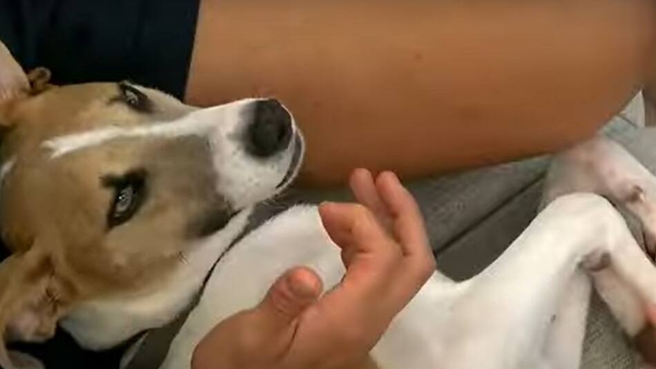 Arturo de Gran Hermano. Foto: captura Telefe.