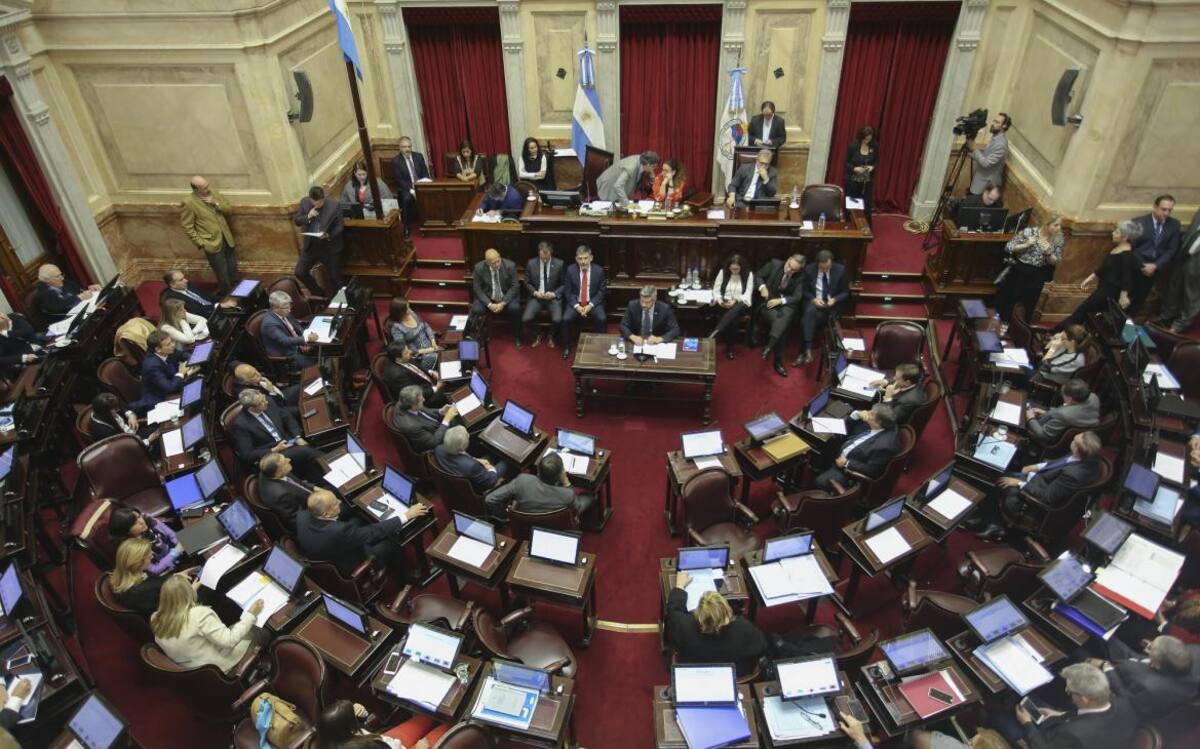 Senado - debate