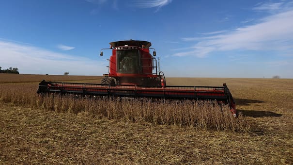 Alerta en Europa por “desayunos tóxicos”: el preocupante estudio sobre los cereales