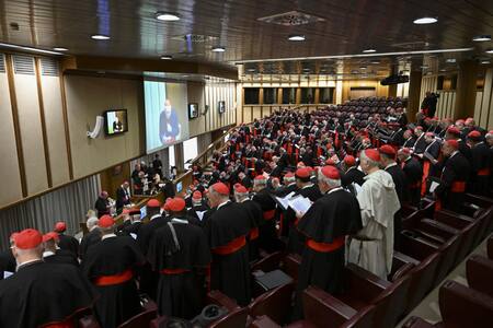 Reuniones en las que los cardenales que entrarán en la Capilla Sixtina se van conociendo y concretando un perfil para el próximo pontífice. Estado Vaticano/Mario Tomassetti - EFE.