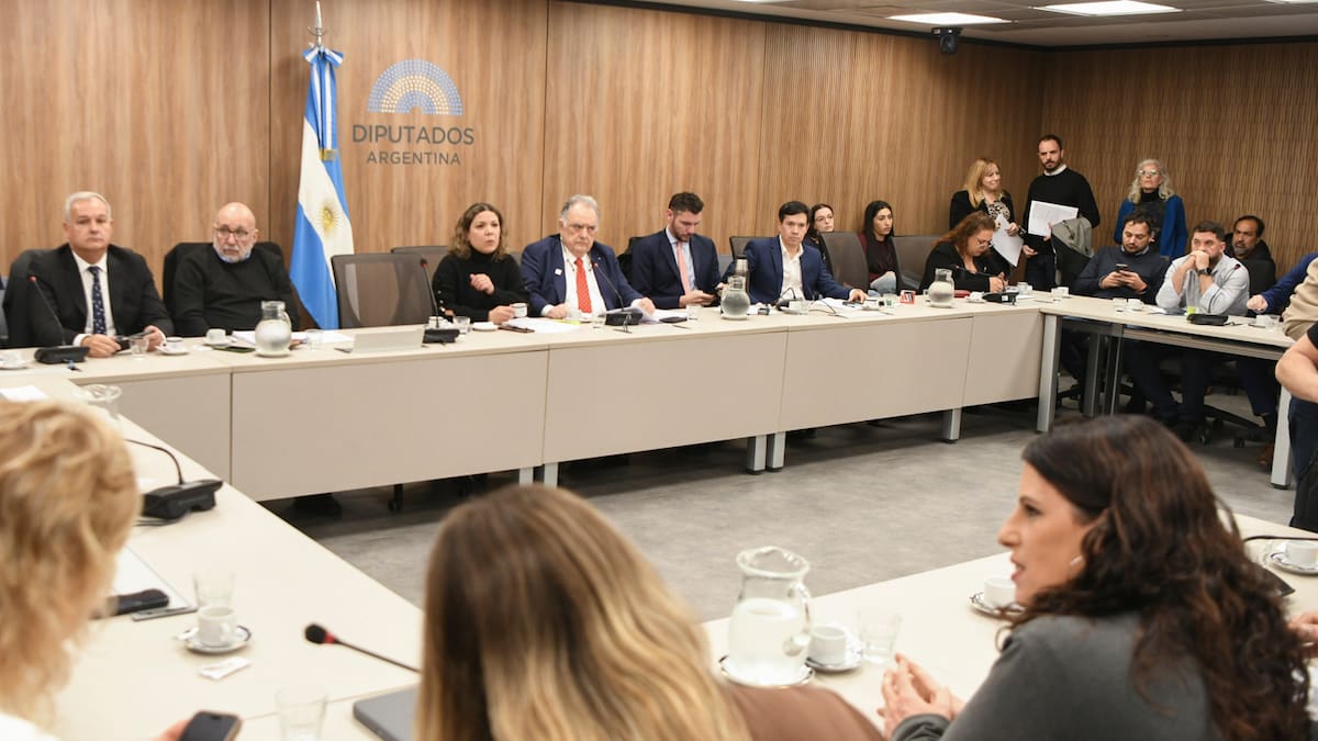 Se emitió dictamen de mayoría sobre el proyecto de Inocencia Fiscal II, una iniciativa impulsada por el ministro de Economía Luis Caputo.