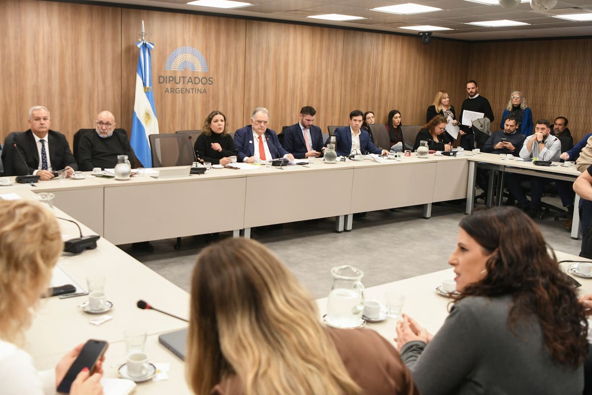 Plenario de las Comisiones de Presupuesto y Hacienda y de Legislación Penal de la Cámara de Diputados
