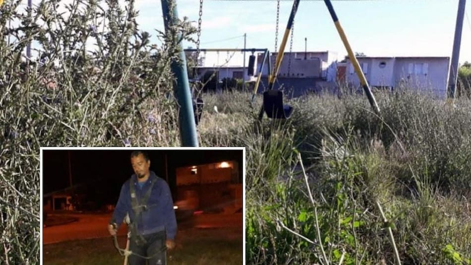 Vecinos cortan el pasto en Mar del Plata