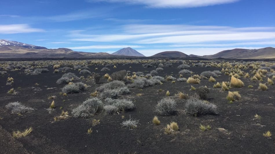 Reserva Natural La Payunia. Foto: Twitter