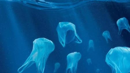 Día Mundial Libre de Bolsas de Plástico