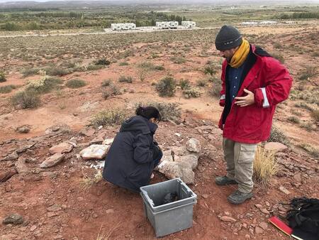 Hallazgo arqueológico en Neuquén. Foto: Telam.