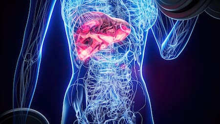 Cáncer, cáncer de páncreas.