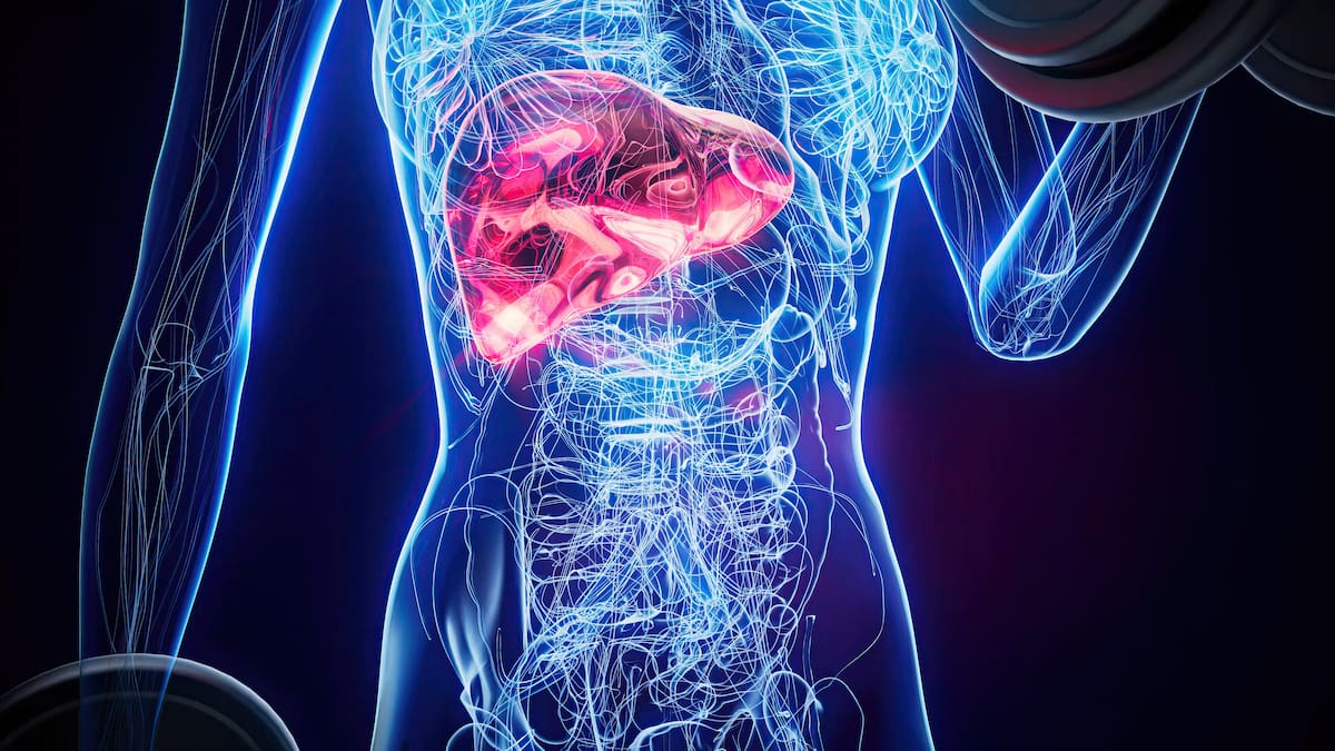 Cáncer de páncreas: cómo prevenir una de las enfermedades más difíciles de detectar a tiempo