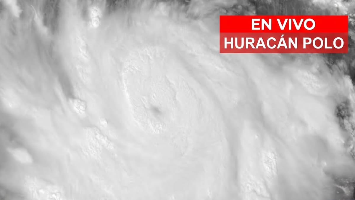 Qué estados suspendieron clases y activaron protocolos de emergencia.