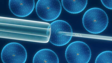 Salud - células madres