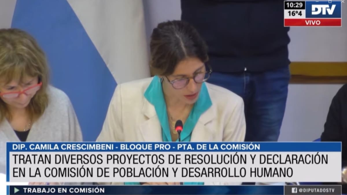 Trabajo en Comisiones de Diputados. Foto: DTV.