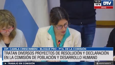 Trabajo en Comisiones de Diputados. Foto: DTV.