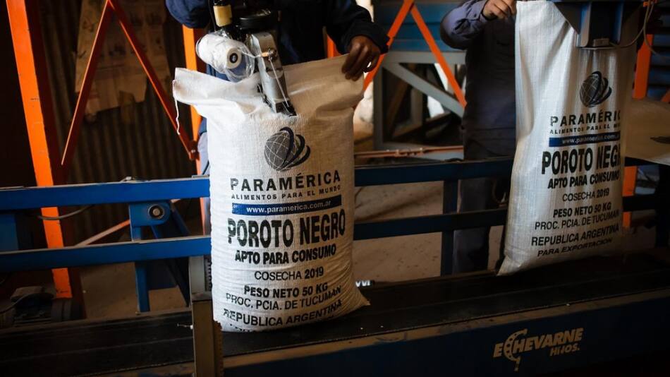 Porotos. Foto: Paramérica SA.