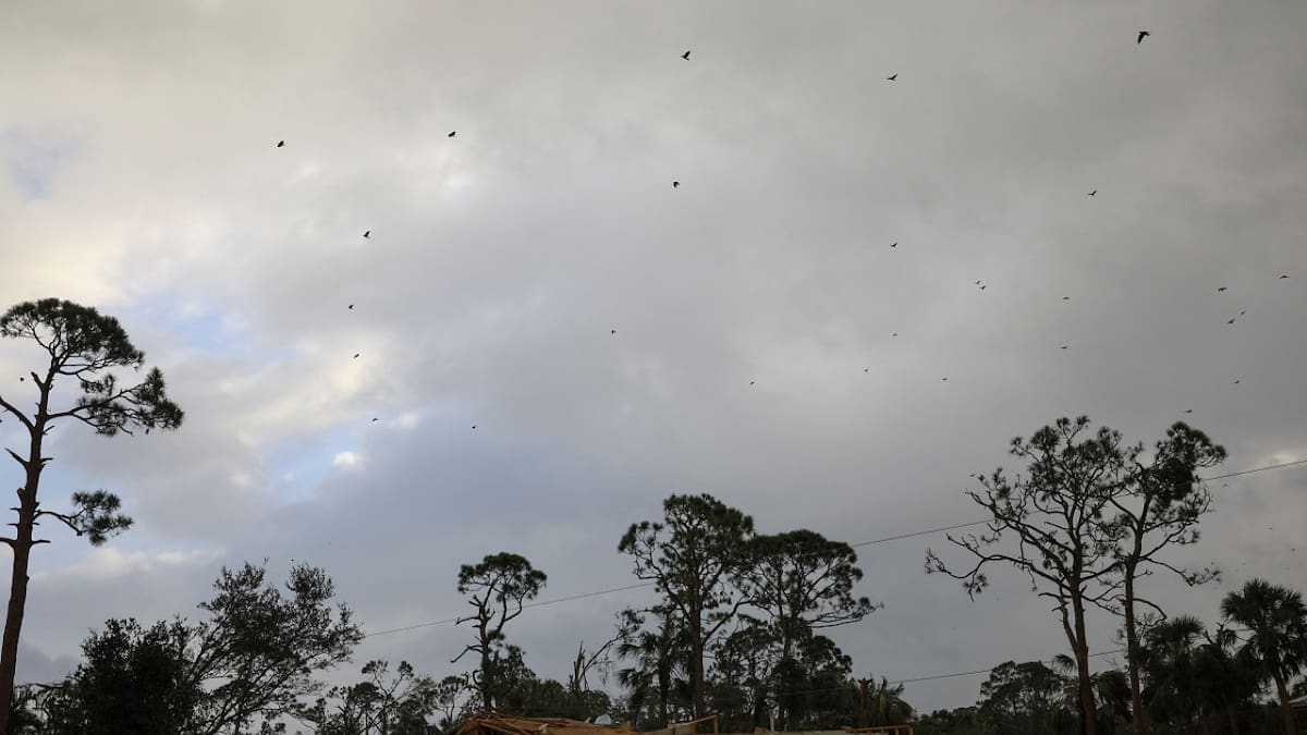Los destrozos que causó el huracán Milton en Florida. Foto: Reuters.