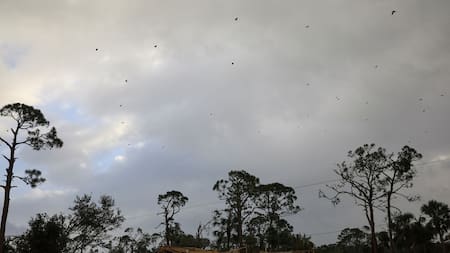 Los destrozos que causó el huracán Milton en Florida. Foto: Reuters.