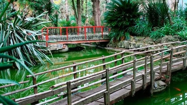 No es el de Palermo: el jardín japonés escondido a una hora de CABA que ofrece un día de campo ideal por menos de $10.000