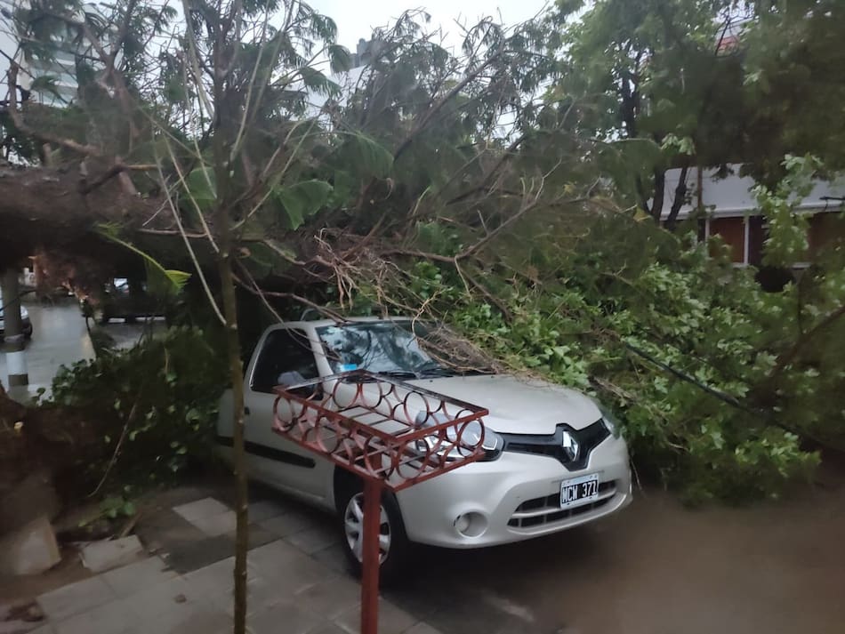 Temporal en Bahía Blanca. Foto: X