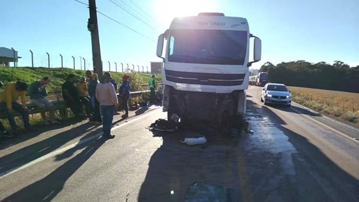 Trágico accidente en Brasil: una mujer argentina y su hijo de 19 años murieron tras chocar de frente contra un camión