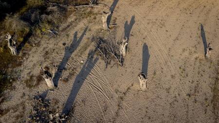 Sequía en España. Foto: EFE.