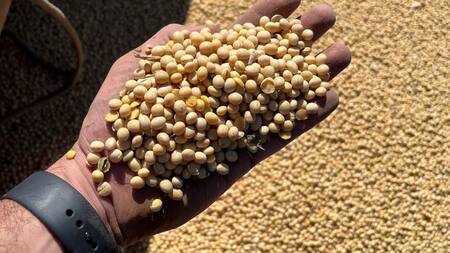 La Aduana evitó el contrabando de productos agropecuarios valuados en casi $30 millones. Foto: Aduana.