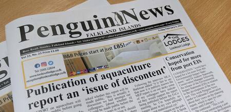 Penguin News. Foto: Twitter.