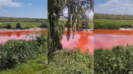 Preocupación por el estado del arroyo Sarandí. Foto: captura de video