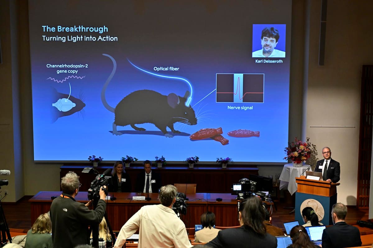 El premio Nobel distingue a los pioneros de la optogenética.