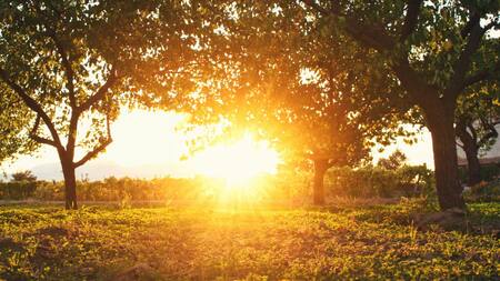 El agosto más cálido en 117 años. Foto: Unsplash