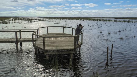 Foto: Parque Nacional Ciervo de los Pantanos. Gentileza. Parques Nacionales. Argentina.gob.ar