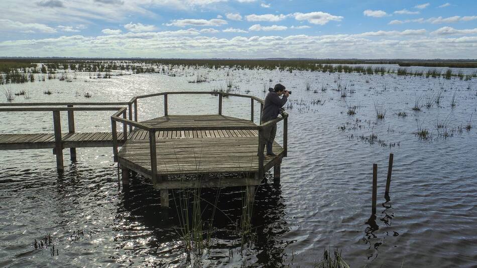 Foto: Parque Nacional Ciervo de los Pantanos. Gentileza. Parques Nacionales. Argentina.gob.ar