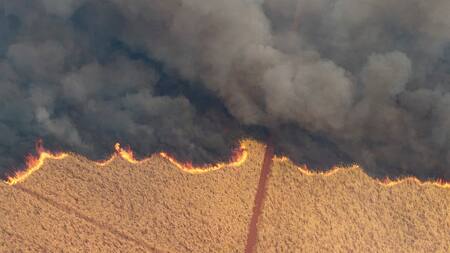 Incendios en Brasil. Foto: Reuters.