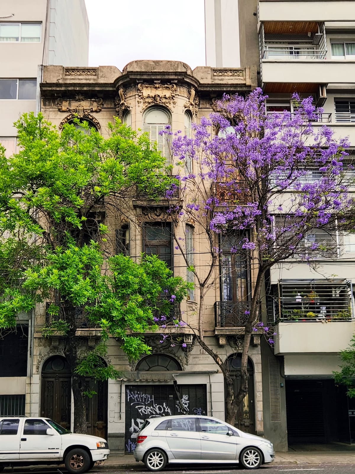 Jacarandás