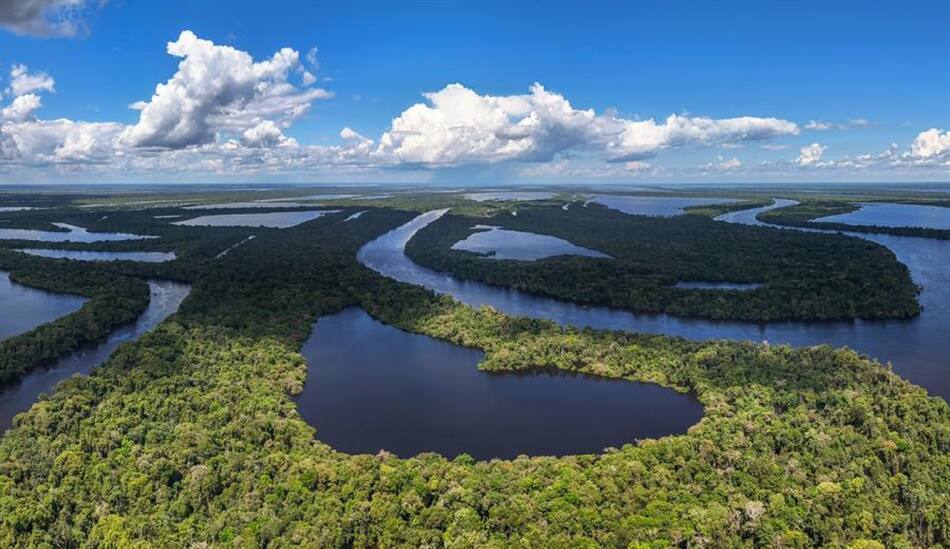 Amazonia. Fuente:EFE