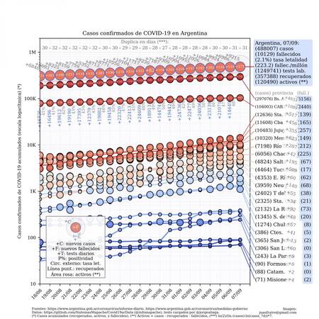 Curva de casos en Argentina actualizada con los reportes matutinos y vespertinos, @TotinFraire