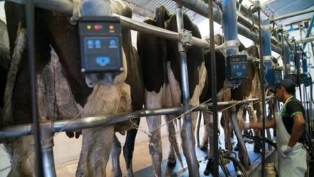 Tambos, economía argentina