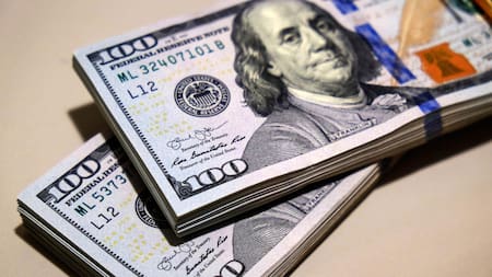 Dólar, economía argentina. Foto: NA