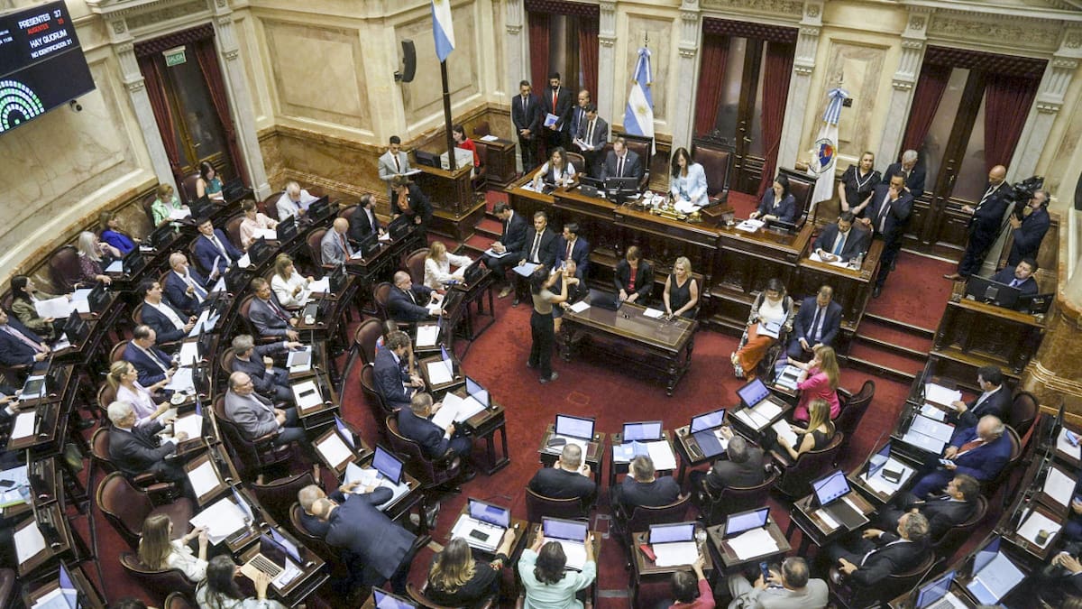 Senado de la Nación. Foto: NA/Daniel Vides.