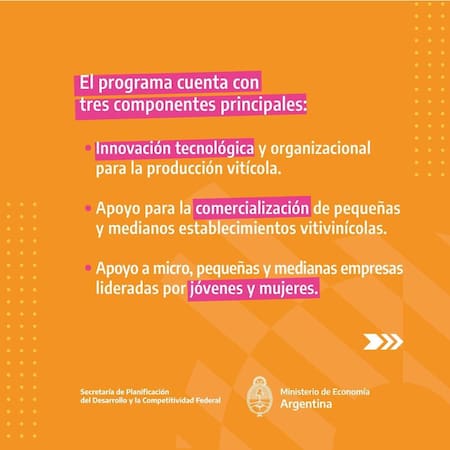 Medidas para favorecer el sector vitivinícola 3. Foto: Prensa.