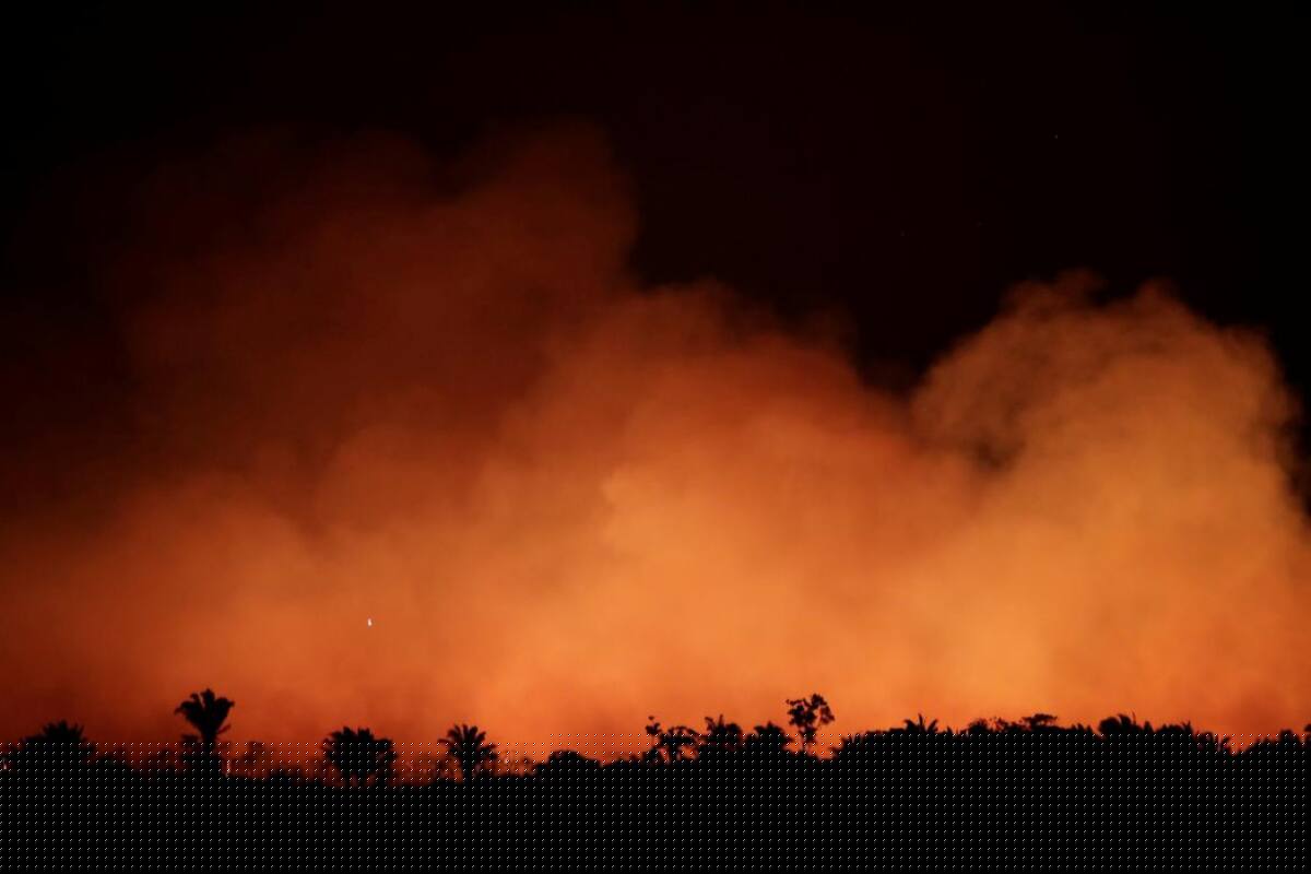 Incendio Amazonia, REUTERS