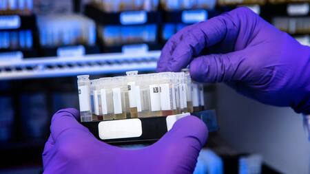 Investigación; científicos. Foto: Unsplash