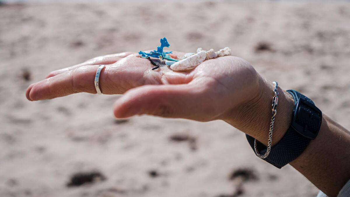Microplásticos recogidos durante una jornada de limpieza en la Isla de Pascua. EFE.