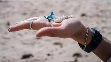Microplásticos recogidos durante una jornada de limpieza en la Isla de Pascua. EFE.