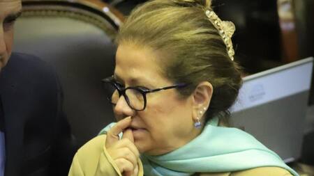 Graciela Camaño en el Congreso, Frente Renovador, política, NA